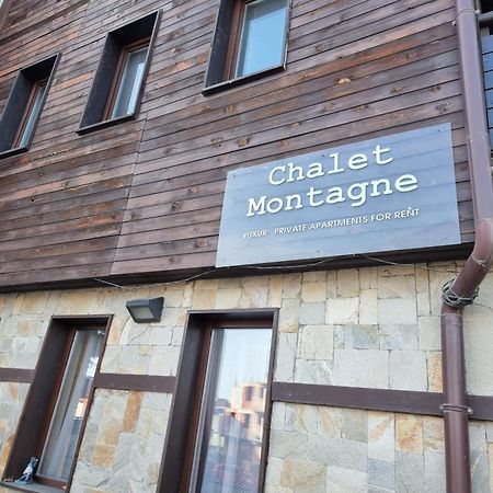 Chalet Montagne Bansko Apartment Exterior photo